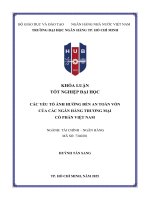 Các yếu tố Ảnh hưởng Đến an toàn vốn của các ngân hàng thương mại cổ phần việt nam