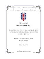 Ảnh hưởng của tâm lý nhà Đầu tư cá nhân Đến biến Động giá cổ phiếu tại sở giao dịch chứng khoán việt nam