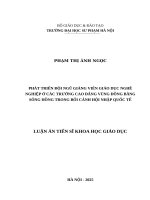 Phát triển đội ngũ giảng viên giáo dục nghề nghiệp ở các trường cao đẳng vùng Đồng bằng sông Hồng trong bối cảnh Hội nhập quốc tế