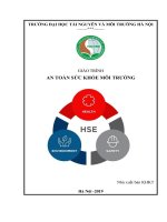 1  giáo trình an toàn   sức khỏe   môi trường hunre (2019)
