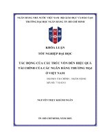 Tác Động của cấu trúc vốn Đến hiệu quả tài chính của các ngân hàng thương mại Ở việt nam