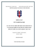 Các yếu tố tác Động Đến khả năng sinh lời của các doanh ngành nghiệp truyền thông Được niêm yết trên sàn chứng khoán việt nam