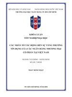 Các nhân tố tác Động Đến sự tăng trưởng tín dụng của các ngân hàng thương mại cổ phần tại việt nam