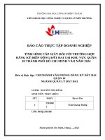 IUH - BÁO CÁO THỰC TẬP DOANH NGHIỆP QUẢN LÝ ĐẤT ĐAI - TÌNH HÌNH CẤP GIẤY ĐỐI VỚI TRƯỜNG HỢP ĐĂNG KÝ BIẾN ĐỘNG ĐẤT ĐAI TẠI KHU VỰC QUẬN 10 THÀNH PHỐ HỒ CHÍ MINH VÀO NĂM 2024