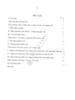 Bước Đầu Đánh giá triển vọng kinh doanh rừng lâu bền Ở các mô hình rừng luồng (dendrocalamus membranaceus) dựa trên việc lợi dụng tái sinh tự nhiện tại trung tâm nghiên cứu thực nghiệm lâm sinh cầu hai, phú thọ