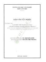 Lập biểu thể tích cây luồng (dendrocalamus membranaceus munro) bằng phương trình Đường sinh thân cây tại lâm trường luồng lang chánh   thanh hóa