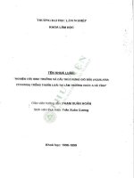 Nghiên cứu sinh trưởng và cấu trúc rừng gió bầu (aquilaria crassna) trồng thuần loài tại lâm trường chúc a hà tĩnh