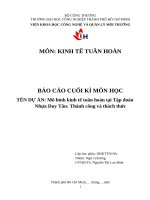 IUH - BC cuối kỳ KINH TẾ TUẦN HOÀN - Mô hình kinh tế tuần hoàn tại Tập đoàn Nhựa Duy Tân: Thành công và thách thức