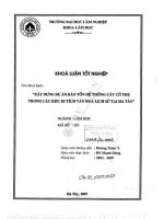 Xây dựng dự Án bảo tồn hệ thống cây cổ thụ trong các khu di tích văn hóa lịch sử tại hà tây