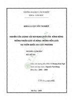 Nghiên cứu lượng vật rơi rụng dưới tán rừng rừng trồng thuần loài và rừng trồng hỗn loài tại vườn quốc gia cúc phương