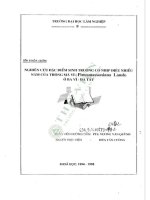 Nghiên cứu Đặc Điểm sinh trưởng có nhịp Điệu nhiều năm của thông mã vĩ (pinusmassoniana lamb) Ở ba vì, hà tây