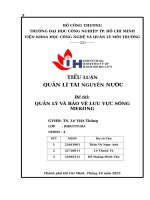 IUH - TIỂU LUẬN QUẢN LÍ TÀI NGUYÊN NƯỚC - QUẢN LÝ VÀ BẢO VỆ LƯU VỰC SÔNG MEKONG