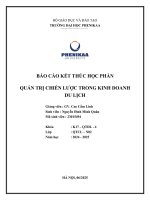 Quản trị chiến lược trong kinh doanh du lịch