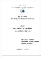 Đề tài thực trạng chi tiêu công cho y tế tại việt nam