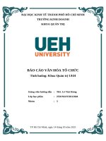 Báo cáo văn hóa tổ chức tình huống khoa quản trị ueh
