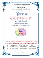 Dự Án vận dụng mô hình kinh doanh xây dựng dự Án trung tâm cung cấp dịch vụ gia sư trí việt