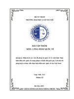 Phân tích các vấn Đề pháp lý quốc tế về cách thức thực hiện Điều Ước quốc tế trong phạm vi lãnh thổ quốc gia  liên hệ với pháp luật và thực tiễn thực hiện Điều Ước quốc tế của việt nam