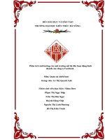 Phân tích Ảnh hưởng của môi trường nội bộ Đến hoạt Động kinh doanh của công ty facebook