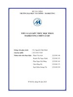 Tiểu luận kết thúc học phần marketing chiến lược