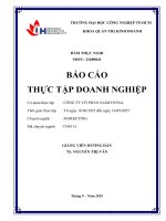 IUH - BCTT - CÔNG TY CỔ PHẦN SAMCOVINA