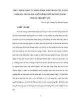 Tiểu luận - Thực trạng bạo lực mạng ở học sinh trong các cơ sở giáo dục trung học phổ thông trên địa bàn thành phố Hà Nội hiện nay