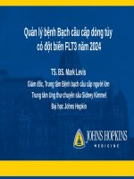 Quản lý bệnh bạch cầu cấp dòng tủy có đột biến FLT3