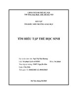 Tìm hiểu tập thể học sinh thực tập tại trường thpt nguyễn siêu