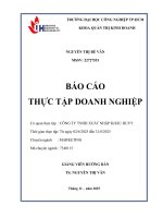 IUH - BCTT QTKD - CÔNG TY TNHH XUẤT NHẬP KHẨU HUVY