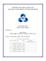 Bài tập lớn môn giải tích 2 Đề tài g bài toán dòng Điện cảm Ứng trong vòng dây