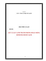 Tiểu luận - tâm lý học du lịch -  đề tài - QUY LUẬT CẠNH TRANH TRONG HOẠT ĐỘNG KINH DOANH DU LỊCH