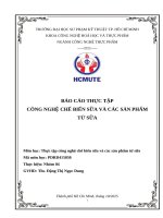 Báo cáo thực tập công nghệ chế biến sữa và các sản phẩm từ sữa