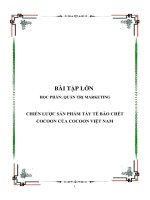 Tiểu luận - quản trị marketing  - đề tài - CHIẾN LƯỢC SẢN PHẨM TẨY TẾ BÀO CHẾT COCOON CỦA COCOON VIỆT NAM