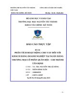 Phân tích hoạt Động cho vay Đối với khách hàng doanh nghiệp tại ngân hàng thương mại cổ phần quân Đội – chi nhánh tân Định