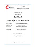 IUH - BCTT QTKD - CÔNG TY TNHH TMDV TRÍ LỰC