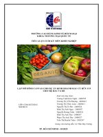 Lập mô hình canvas cho dự Án kinh doanh rau củ hữu cơ cho mẹ bầu và bé