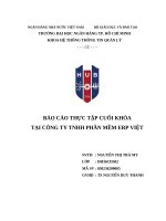 Báo cáo thực tập cuối khóa tại công ty tnhh phần mềm erp việt