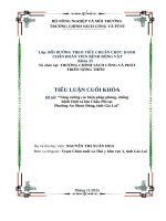 Tăng cường các biện pháp phòng, chống bệnh dịch tả lợn châu phi tại phường an nhơn Đông, tỉnh gia lai