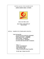 Đề tài nghiên cứu về bóng Đèn cảm Ứng