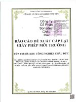 Báo cáo Đề xuất cấp giấy phép môi trường khu công nghiệp châu Đức