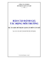 Báo cáo Đánh giá tác Động môi trường dự Án khu Đô thị du lịch lấn biển cần giờ