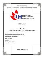 IUH - Tiểu luận Quản trị học - CHỨC NĂNG TỔ CHỨC CỦA CÔNG TY VINFAST