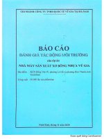 Báo cáo Đánh giá tác Động môi trường nhà máy sản xuất xơ bông nhựa vũ gia