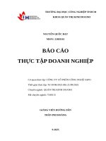 IUH - BCTT QTKD - CÔNG TY CỔ PHẦN CÔNG NGHỆ SAPO