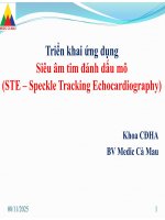Triển khai Ứng dụng siêu Âm tim Đánh dấu mô