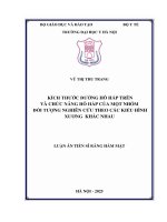 Kích thước Đường hô hấp trên và chức năng hô hấp của một nhóm Đối tượng nghiên cứu theo các kiểu hình xương khác nhau