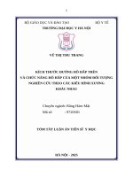 Tóm tắt kích thƣớc Đƣờng hô hấp trên và chức năng hô hấp của một nhóm Đối tƣợng nghiên cứu theo các kiểu hình xƣơng khác nhau