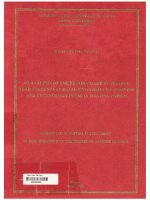 000038280 an analysis of the errors made by second year students at hanoi university of business and technology in their writing papers