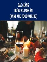 Bài Giảng -  Rượu Và Các Món Ăn - WINE AND FOODPAIRING - Rượu và phục vụ rượu ( combo full slides 5 chương )