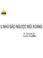 U nhú Đảo ngược mũi xoang