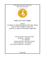 Khóa luận tốt nghiệp Kinh tế đầu tư: Tác động của biến đổi khí hậu đến thực trạng đầu tư nông nghiệp của khu vực kinh tế tư nhân tại tỉnh Thừa Thiên Huế